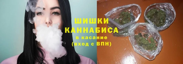 ПСИЛОЦИБИНОВЫЕ ГРИБЫ Пересвет