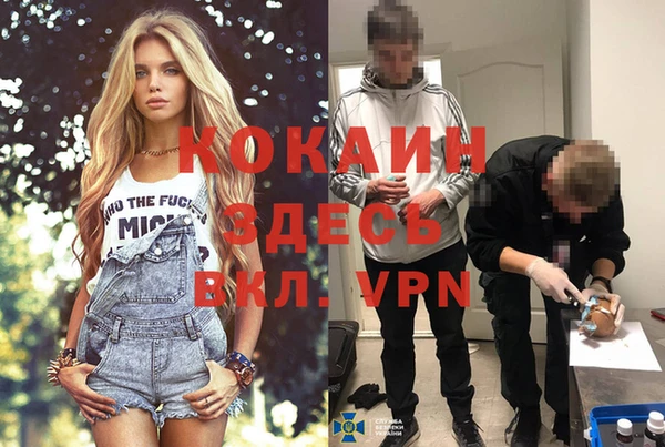 ПСИЛОЦИБИНОВЫЕ ГРИБЫ Пересвет