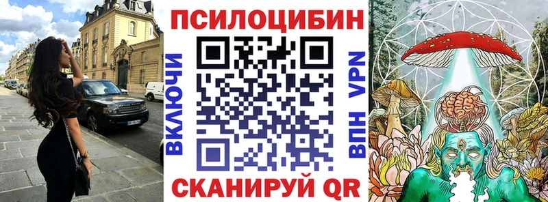 Псилоцибиновые грибы GOLDEN TEACHER где продают наркотики Зеленодольск