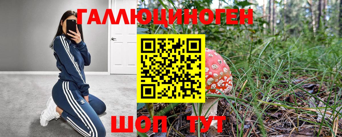 Зеленодольск  Галлюциногенные грибы мухоморы  Вход с VPN  Галлюциногенные грибы Psilocybe 