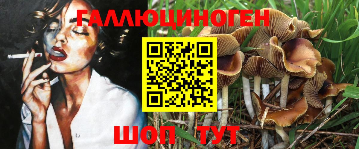 Галлюциногенные грибы Psilocybine cubensis Зеленодольск